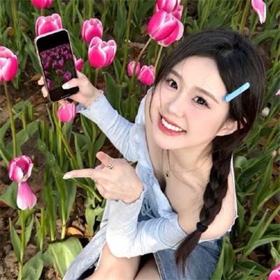 红壳的潘多拉